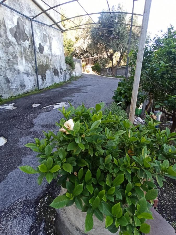 Villa La Terrazza Quisisana Sorrento Coast à Castellammare di Stabia Extérieur photo